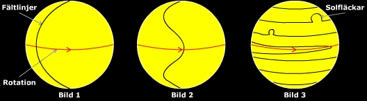 Figur 3: Hur solens rotation skapar solflckar.